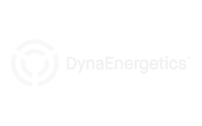 DynaEnergetics