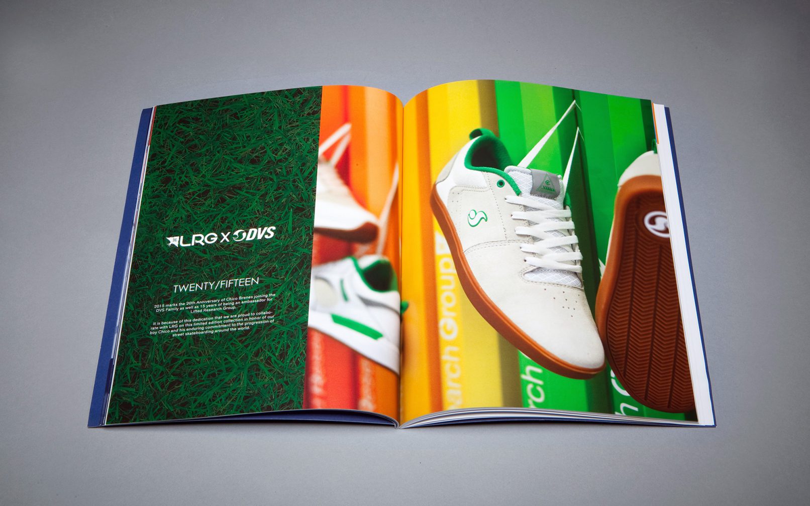 DVS Shoes Catalog